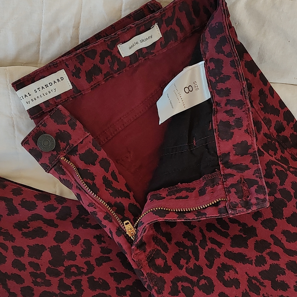 Social Standards by Sanctuary Size 8